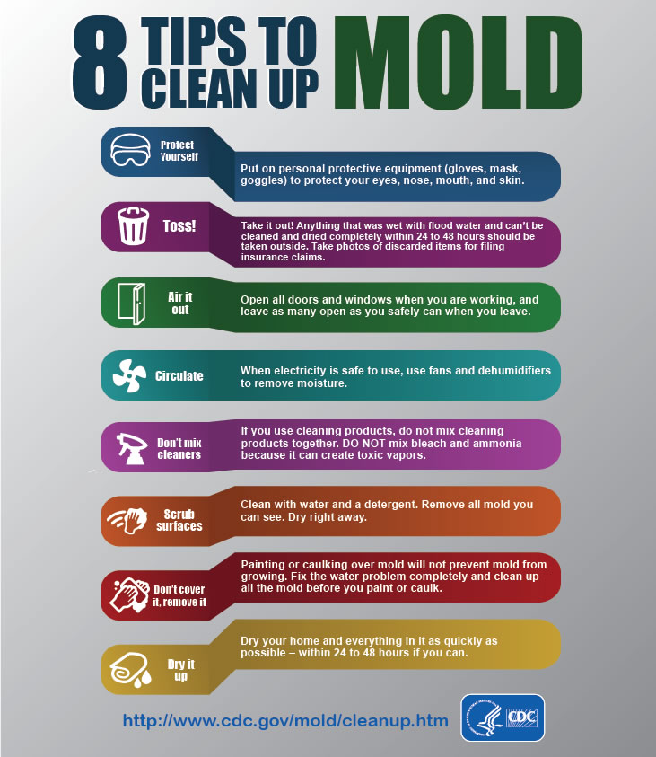 Mold infographic by the CDC 